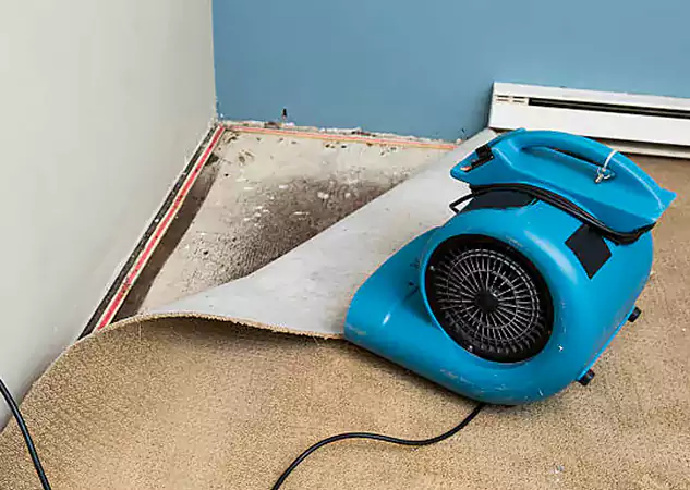 Your Water Damage Experts in Porterdale, GA