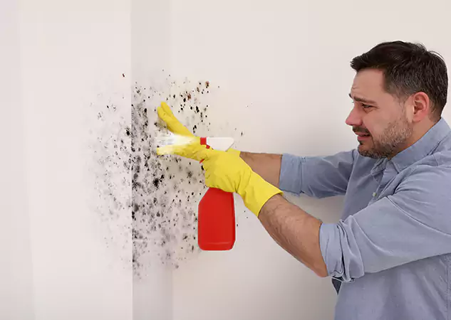 Your Water Mold Fire Restoration Partner in Porterdale, GA