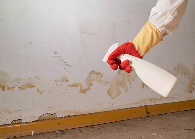 Your Water Restoration and Mold Remediation Specialists in Porterdale, GA