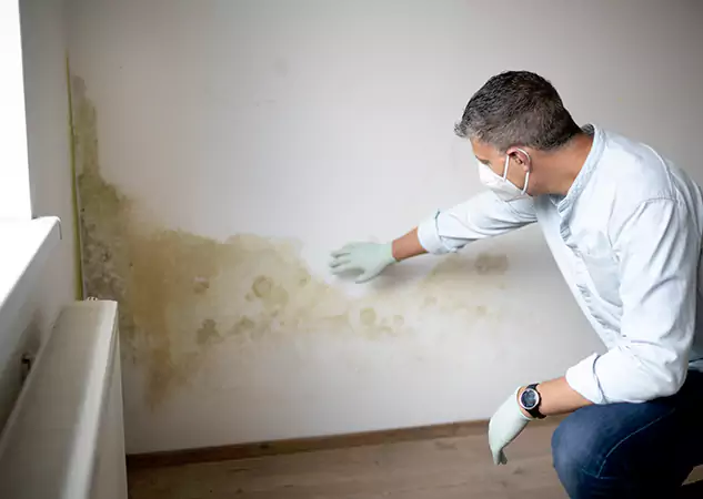 Reach Our Remediation Team Before Damage Grows in Porterdale, GA!