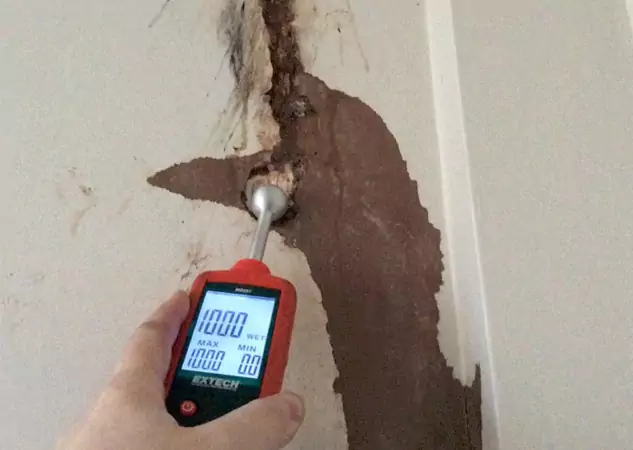 Your Water Damage Assessment Partner in Porterdale, GA