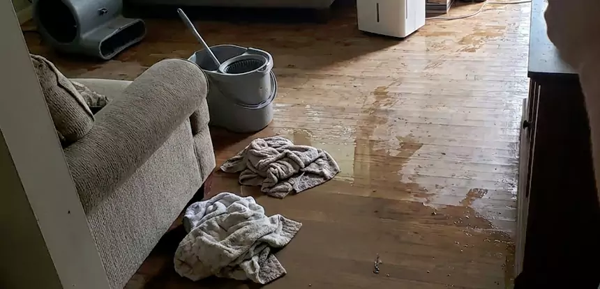 Professional Basement Water Remediation Services in Porterdale, GA
