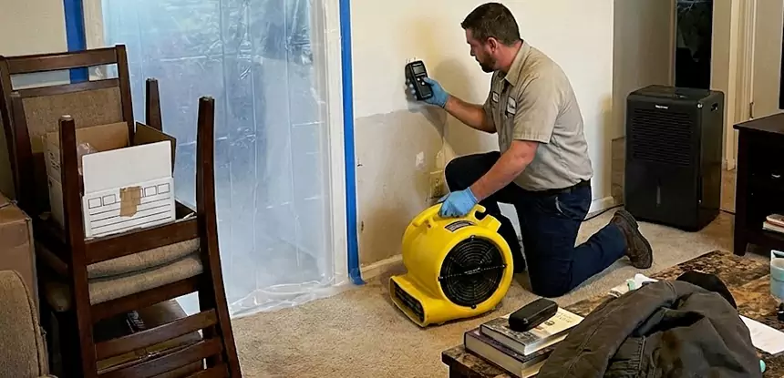 Carpet Water Damage Repair Porterdale