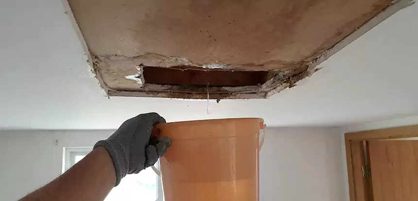 Ceiling Mold Repair Porterdale