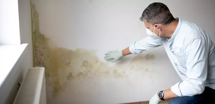 Mold and Water Damage Repair in Porterdale