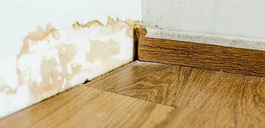 Professional Fix Water Damaged Wood Services in Porterdale, GA