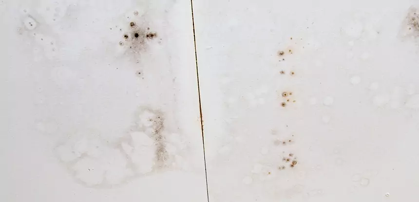 Professional Water Stain Repair Services in Porterdale, GA