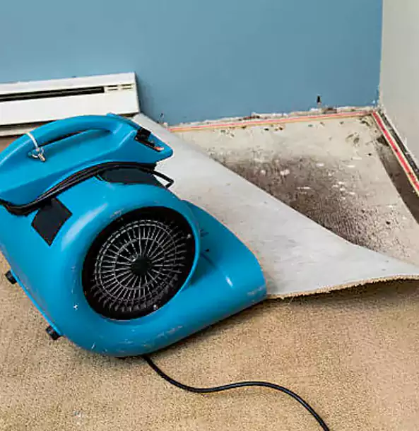 Why Porterdale Trusts Porterdale Restoration Pro for Carpet Flood Recovery?
