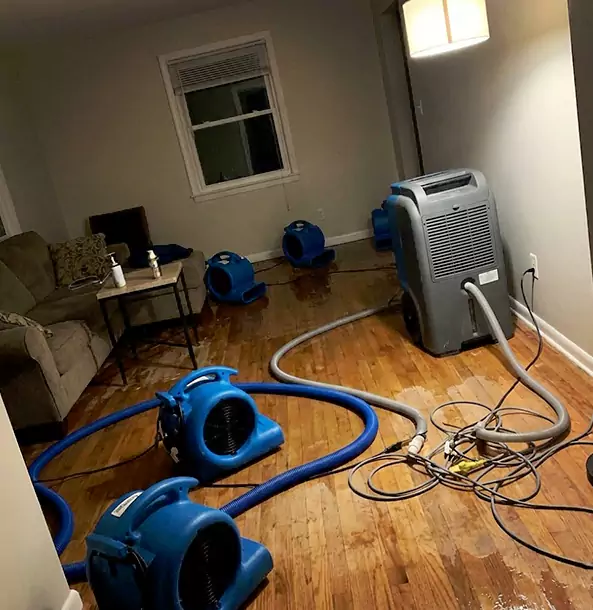 Why Porterdale Property Owners Rely on Porterdale Restoration Pro for Remediation?