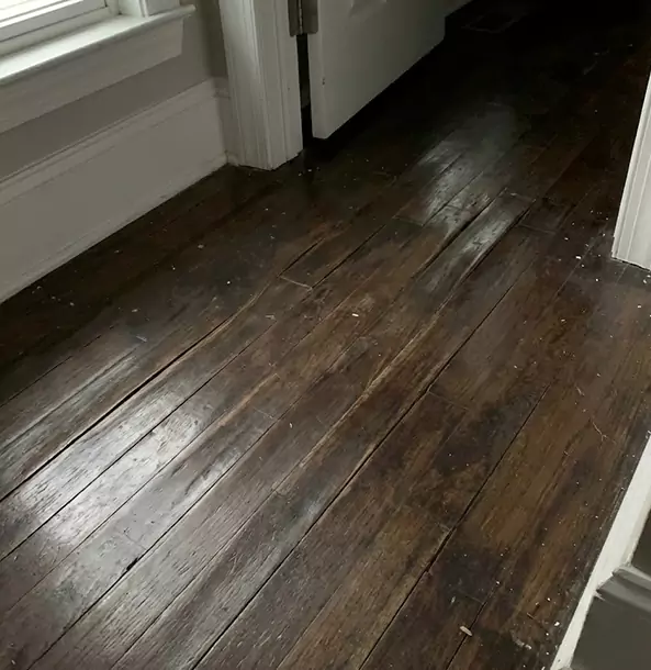 Why Porterdale Homeowners Trust Porterdale Restoration Pro to Fix Water Damaged Wood?
