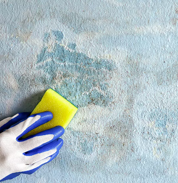 Why Porterdale Restoration Pro Is the Right Choice in Porterdale, GA?
