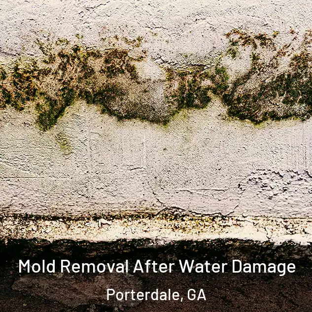  Mold Removal After Water Damage Porterdale, GA