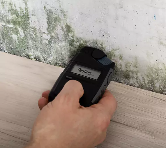 Mold Remediation Service Porterdale